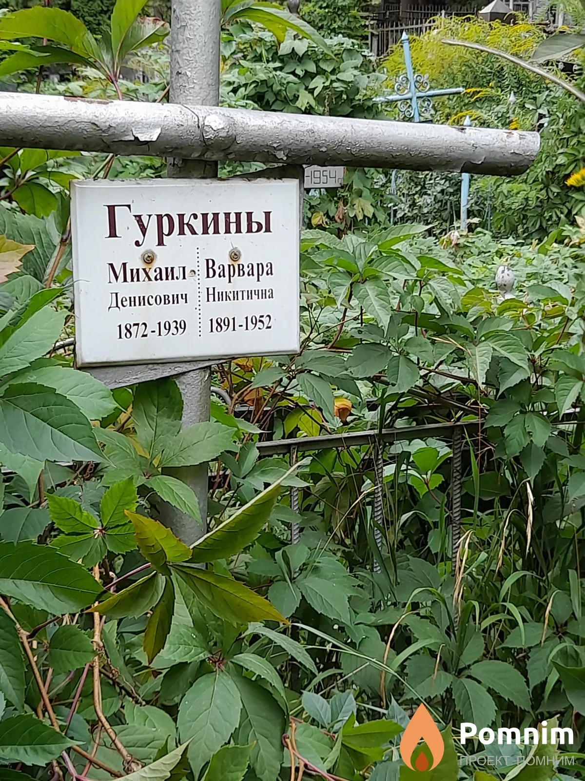 Гуркин Варвара Никитична