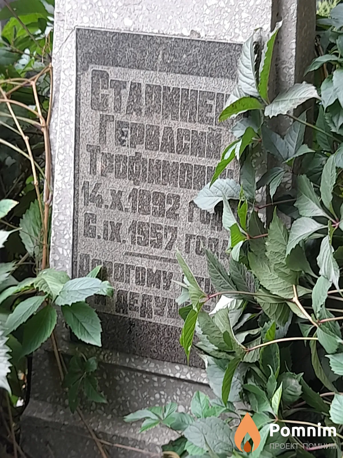 Старинец Гервасий Трофимович