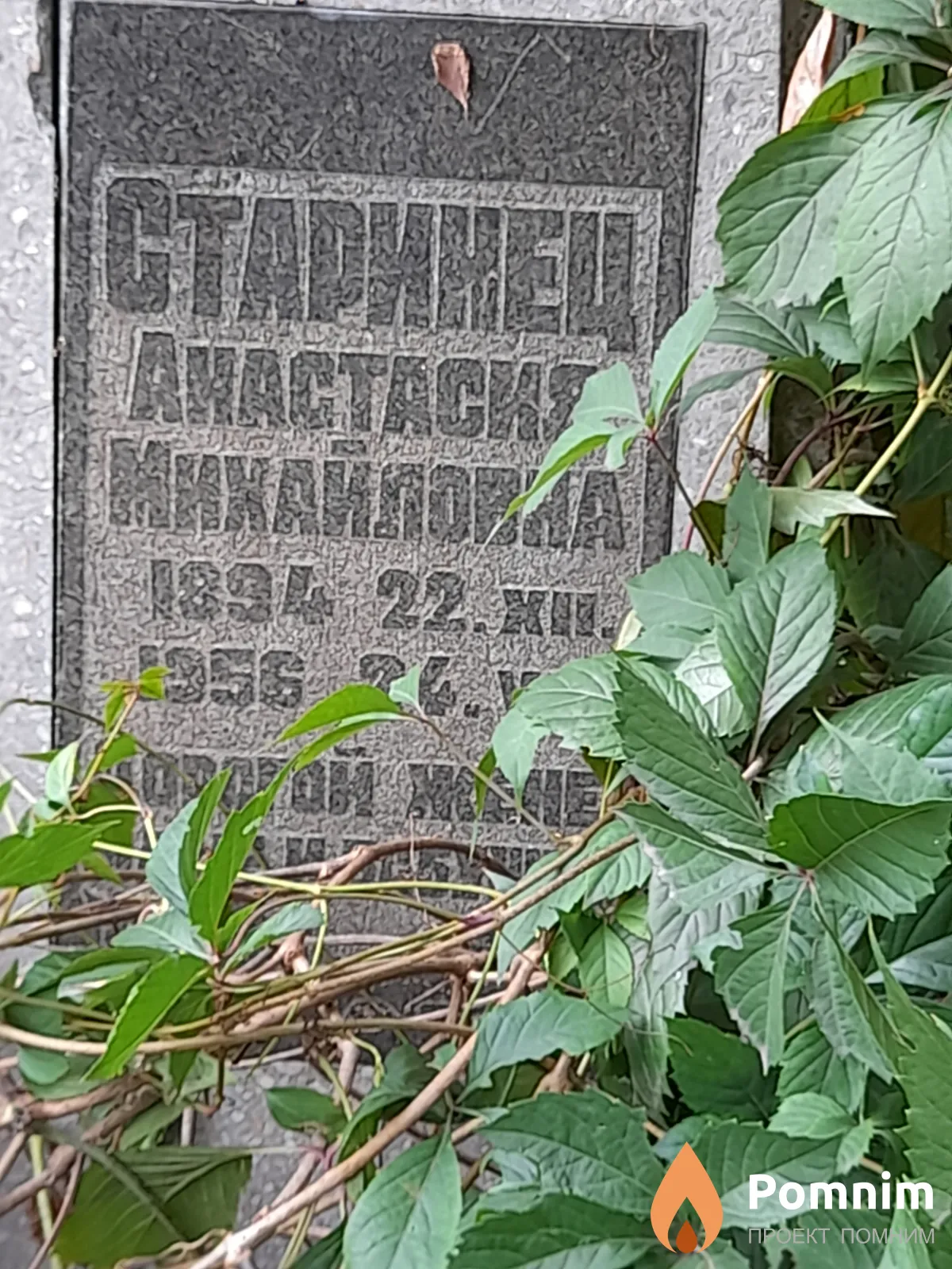 Старинец Анастасия Михайловна
