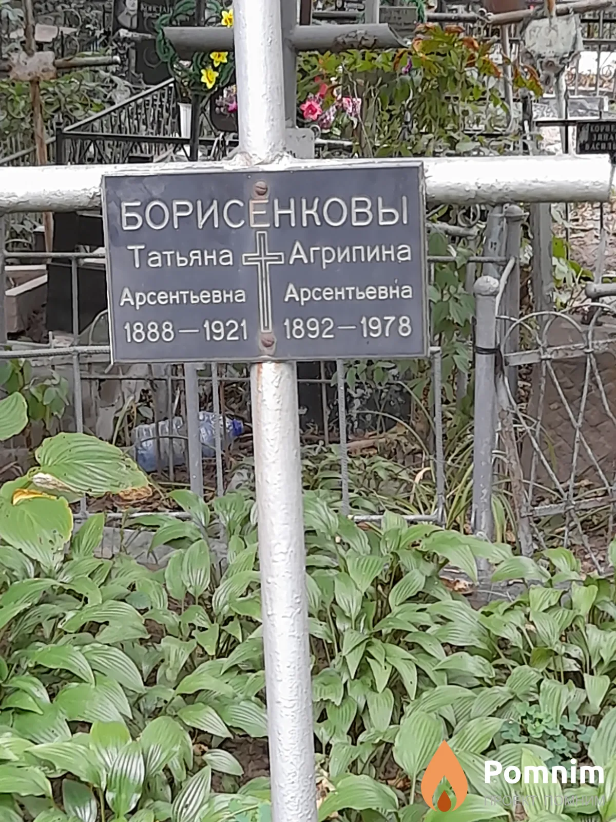 Борисенкова Агриппина Арсентьевна