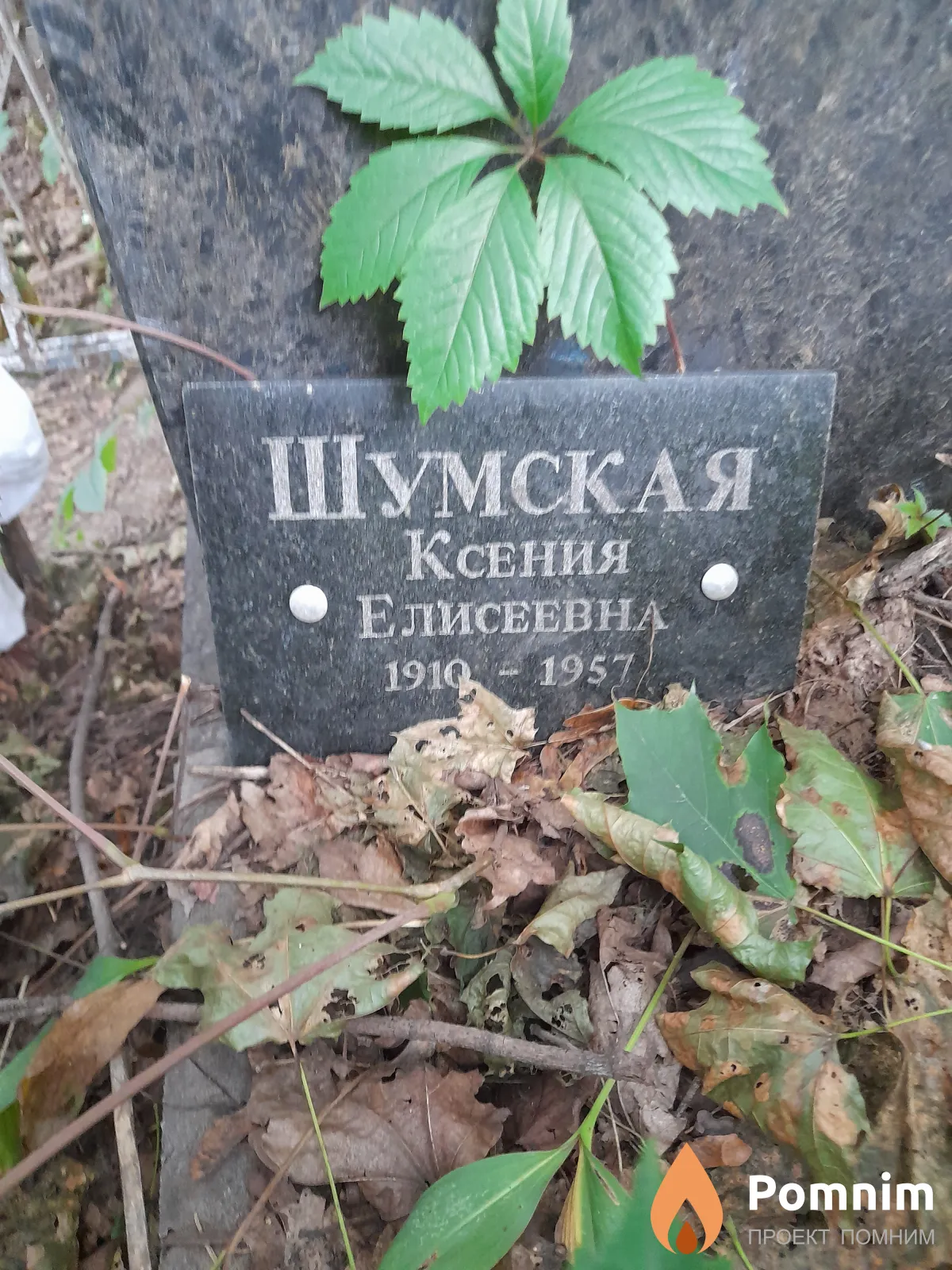Шумская Ксения Елисеевна