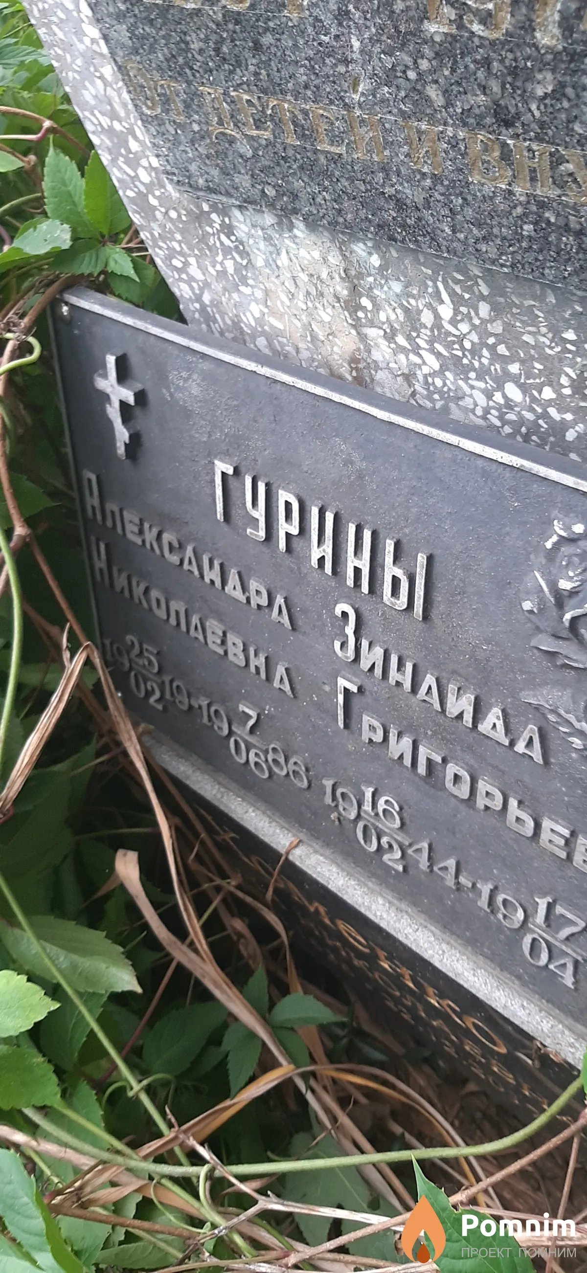 Гурина Александра Николаевна