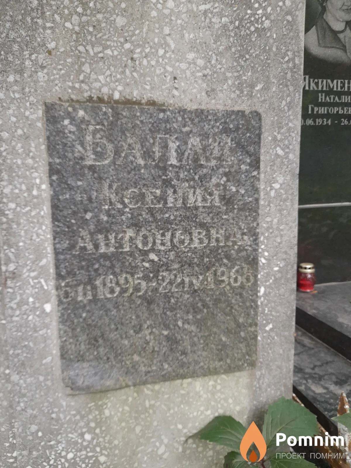 Балан Ксения Антоновна