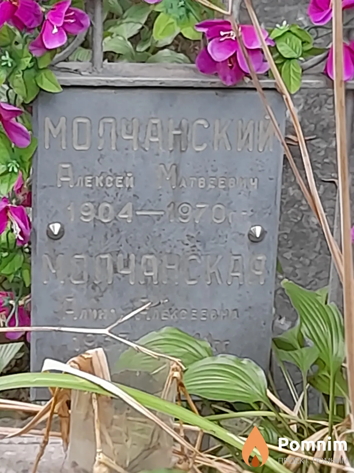 Молчанская Алина Алексеевна