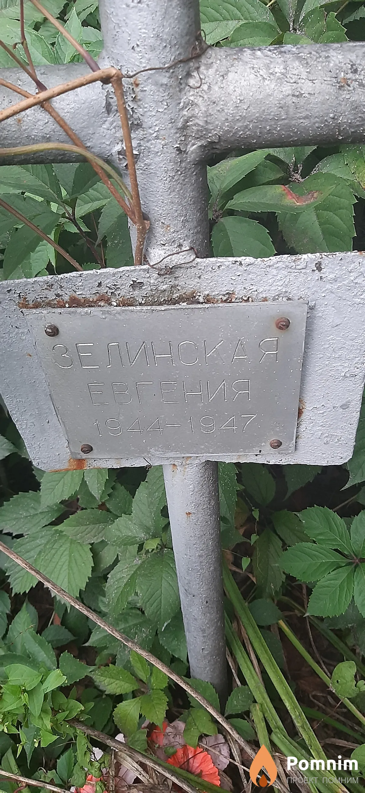 Зелинская Евгения
