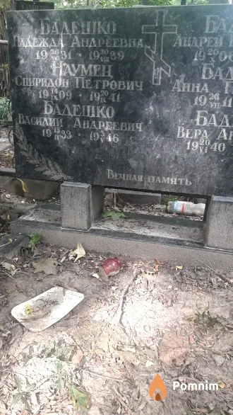 Бадешко Надежда Андреевна