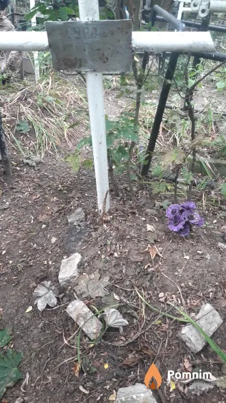 Суров . .