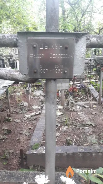 Цыкун Федор Сергеевич