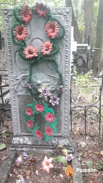 Синельников Александр Кузьмич