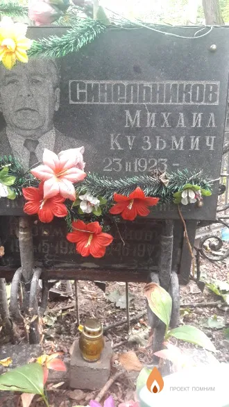 Синельников Михаил Кузьмич