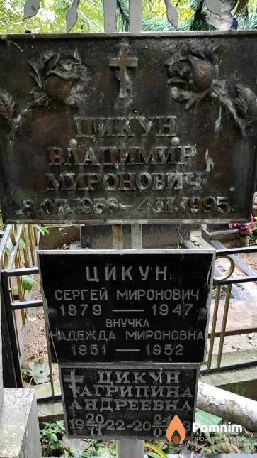 Цикун Владимир Миронович