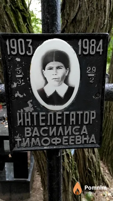 Интелегатор Василиса Тимофеевна