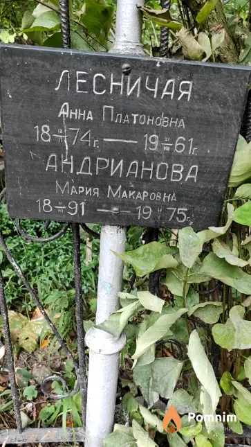 Лесничая Анна Платоновна