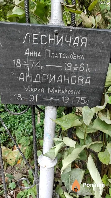 Андрианова Мария Макаровна