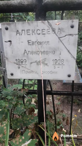 Алексеева Евгения Алексеевна