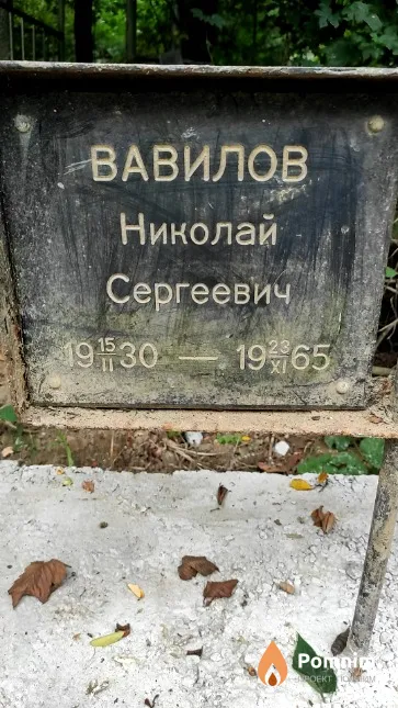 Вавилов Николай Сергеевич