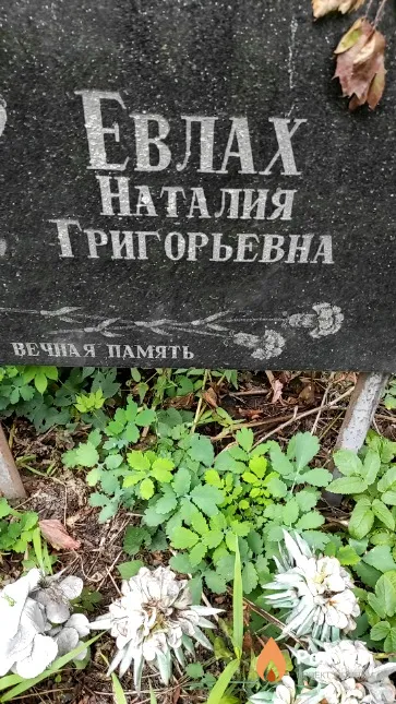Евлах Наталия Григорьевна