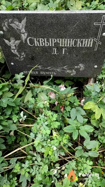 Сквырчинский Д. Г.