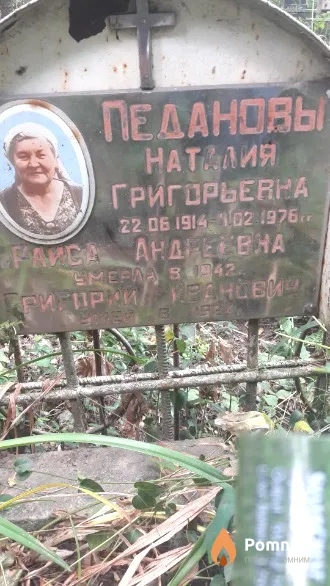 Педанова Наталия Григорьевна