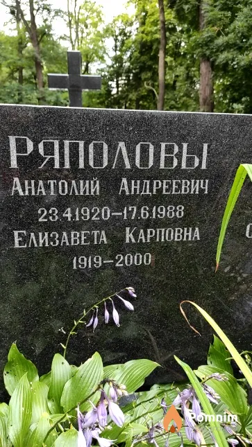 Ряполов Анатолий Андреевич