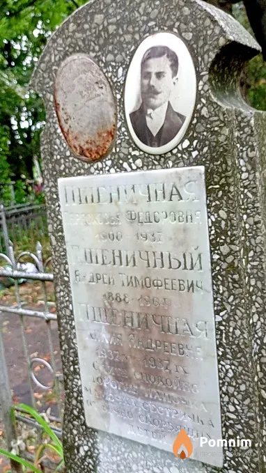 Пшеничный Андрей Тииофеевич