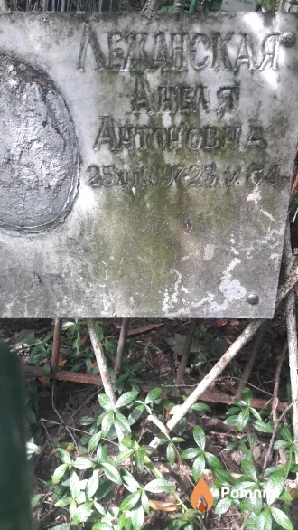 Лежанская Анеля Антоновна
