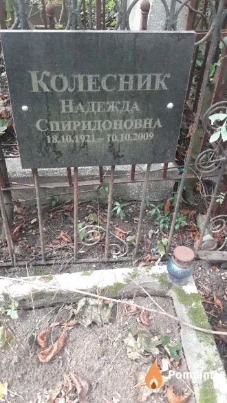 Колесник Надежда Спиридоновна