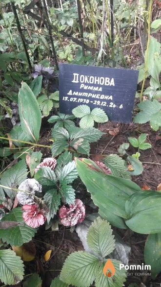 Доконова Римма Дмитревна