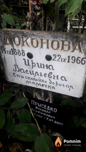 Доконова Ирина Васильевна