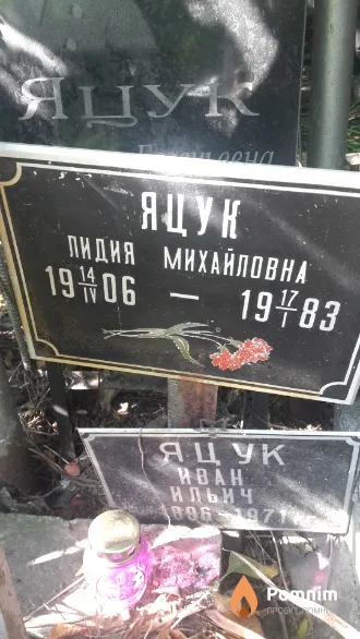 Тест Лидия Михайловна