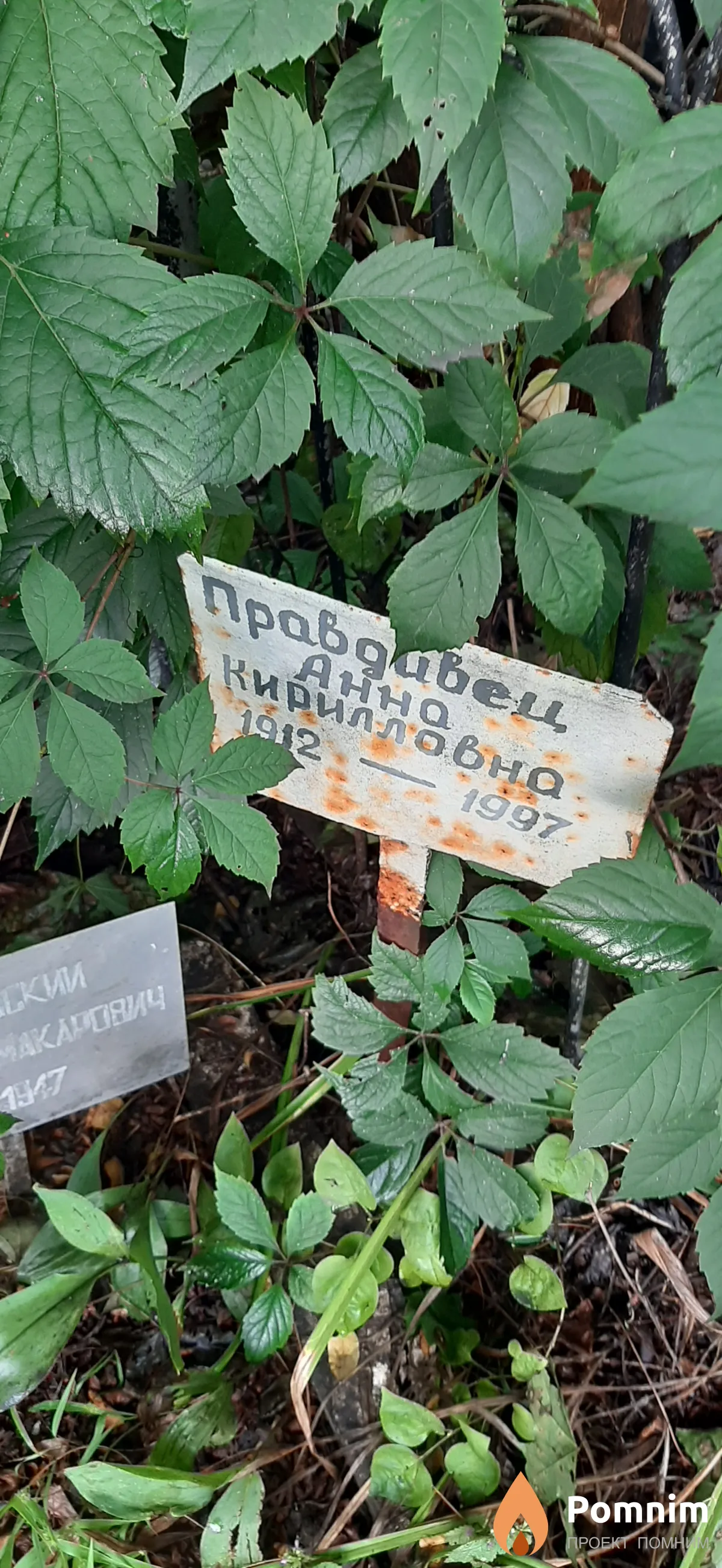Провдивец Анна Кирилловна