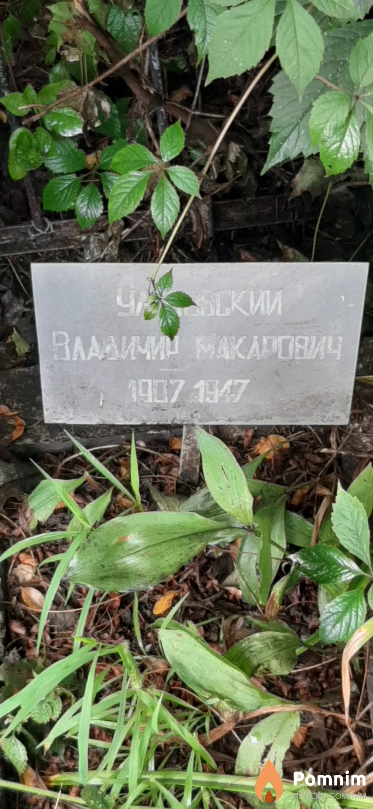 Улазевский Владимир Макарович