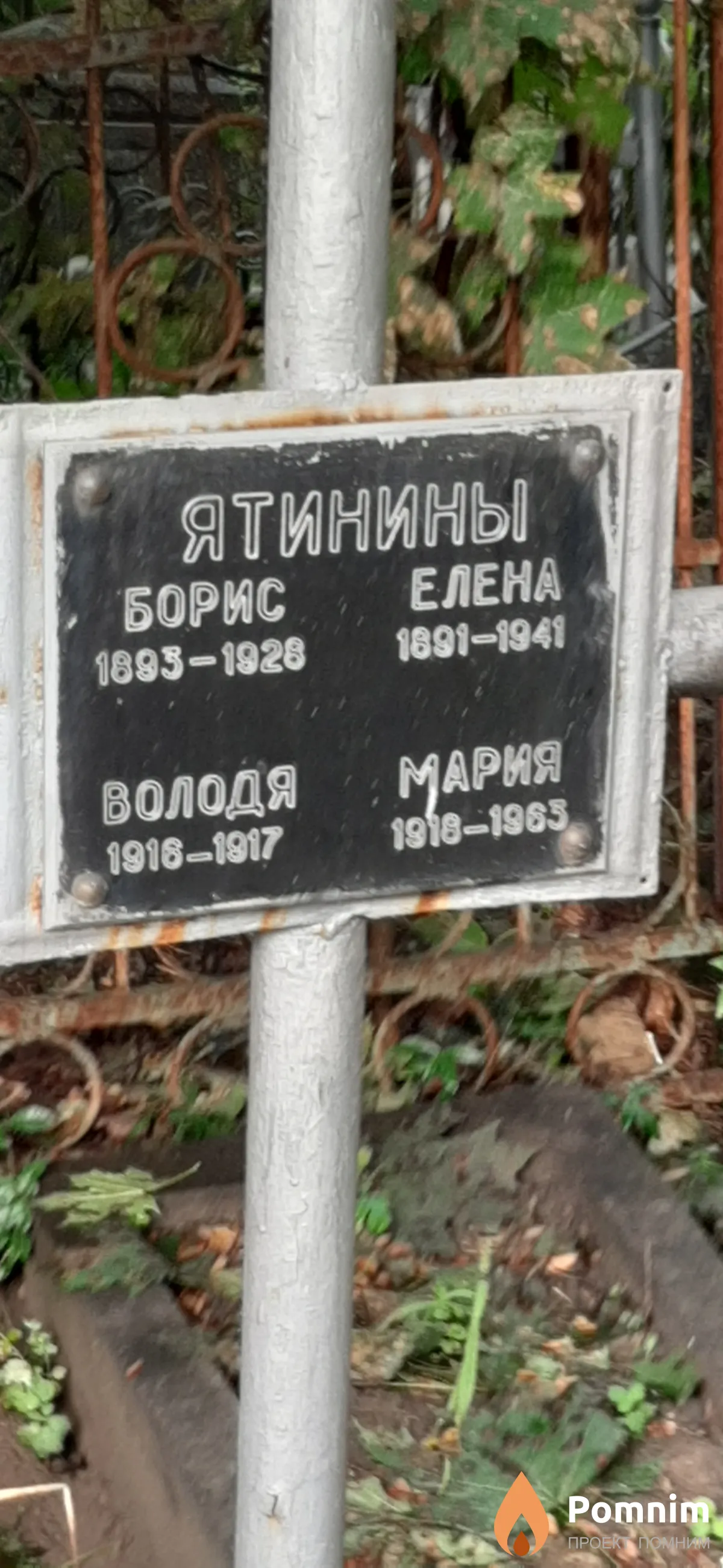 Ятинина Елена
