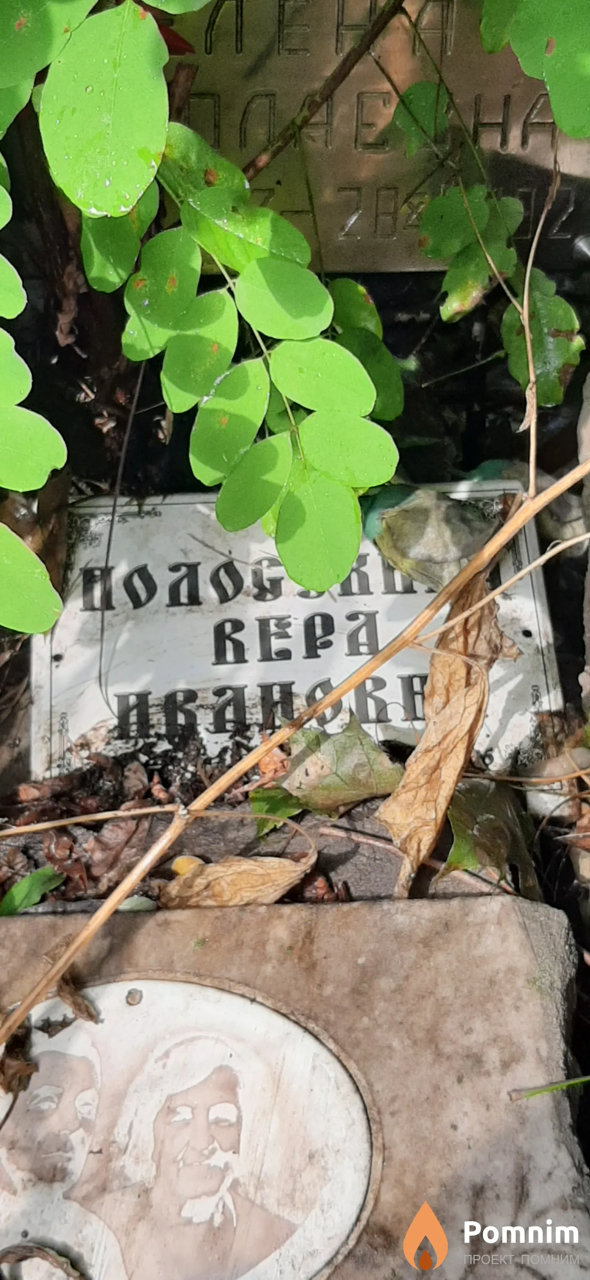 Полосухина Вера Ивановна
