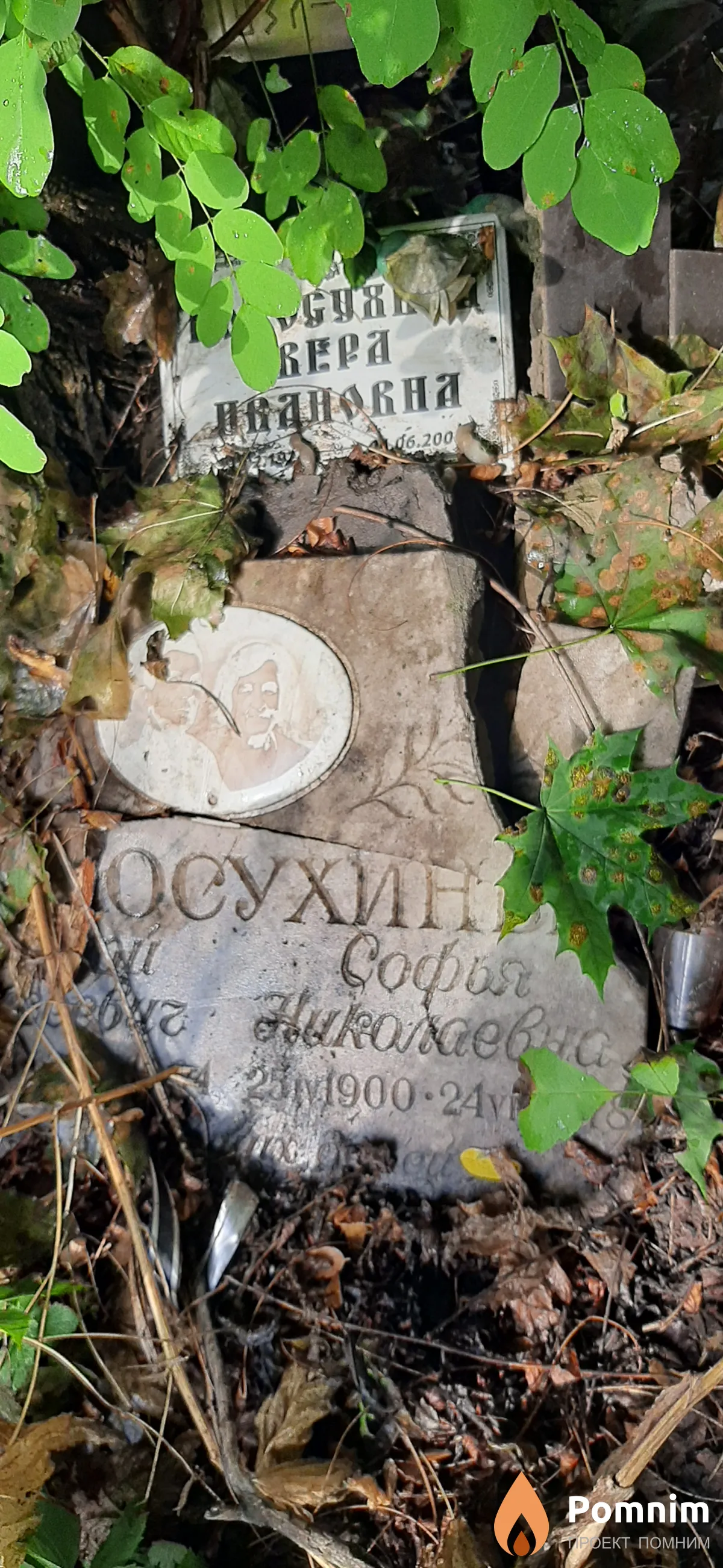 Полосухина Софья Николаевна
