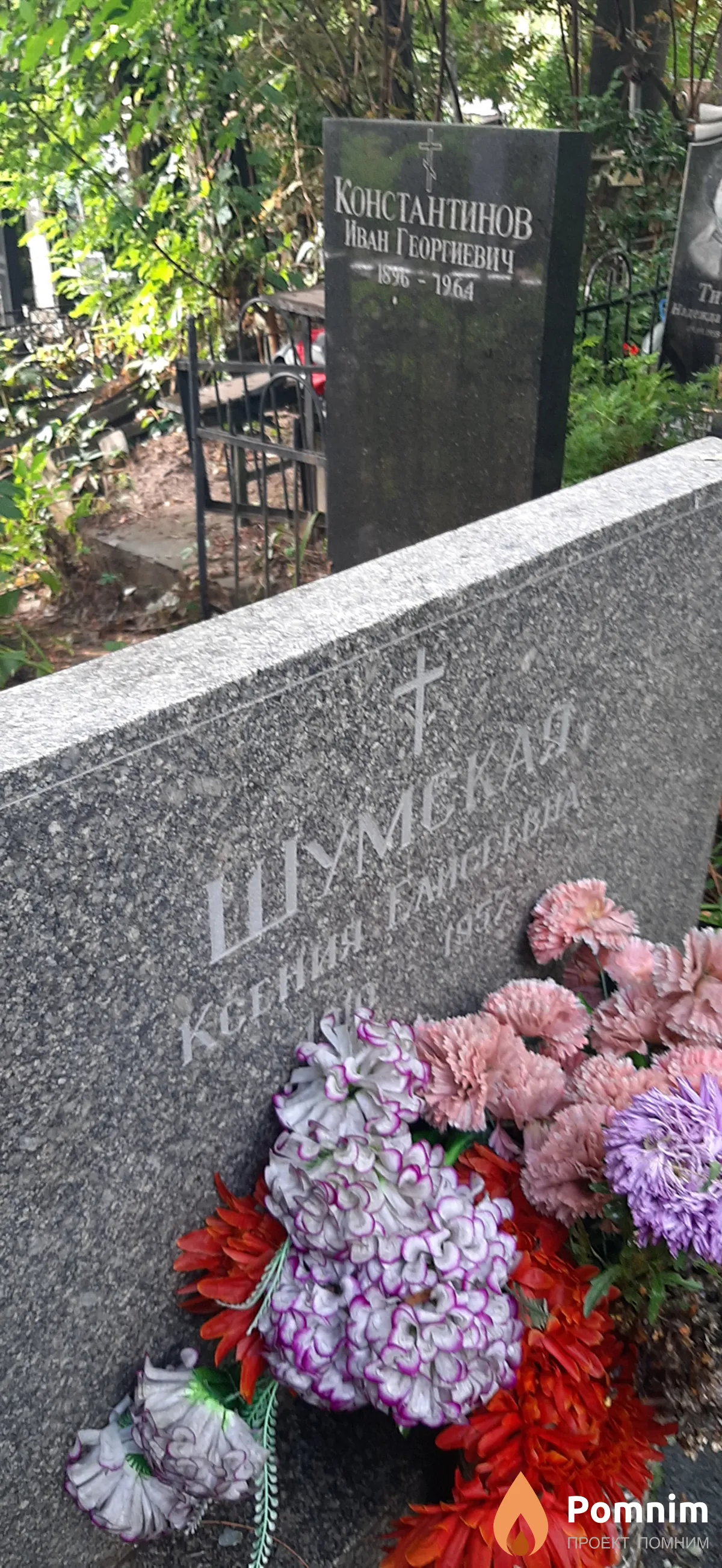 Шумская Ксения Елисеевна