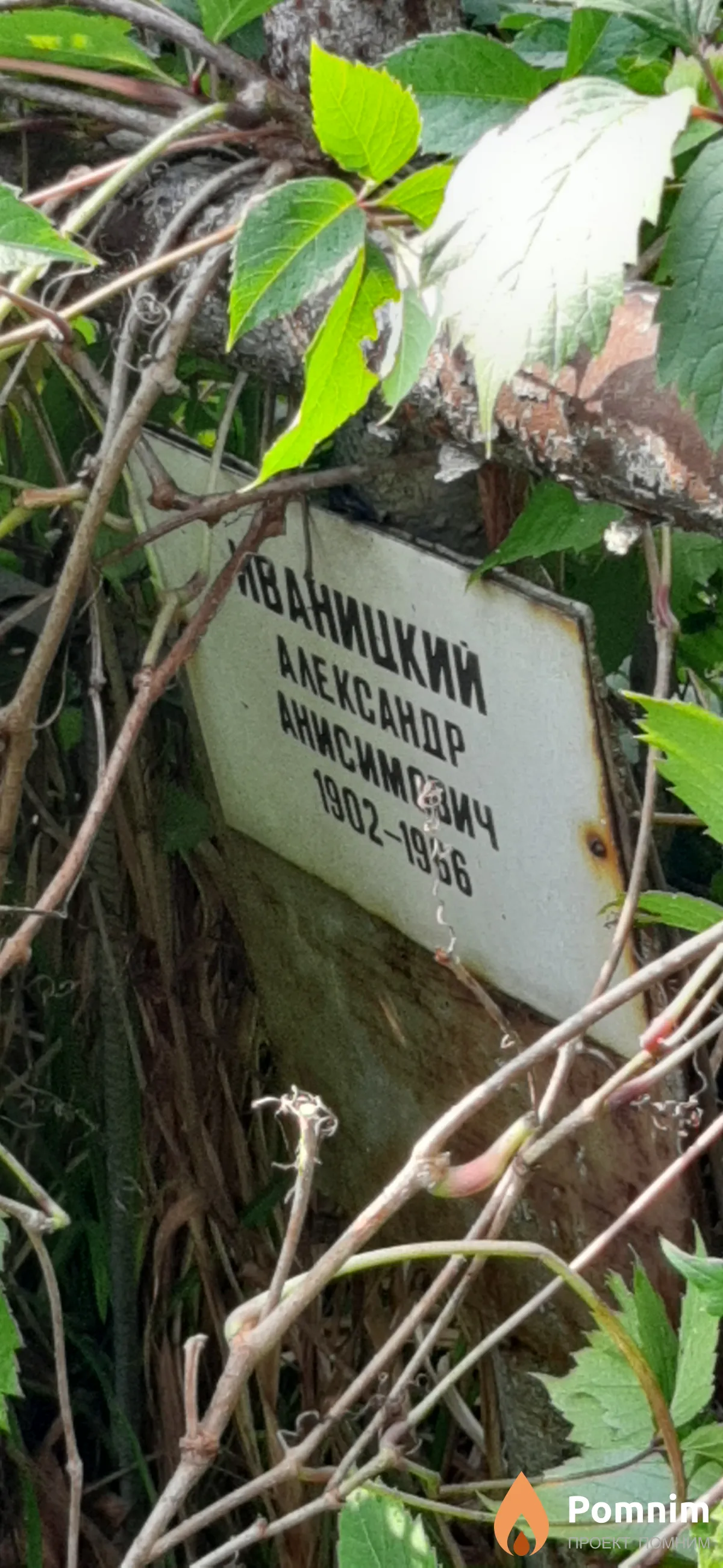 Иваницкий Александр Анисимович
