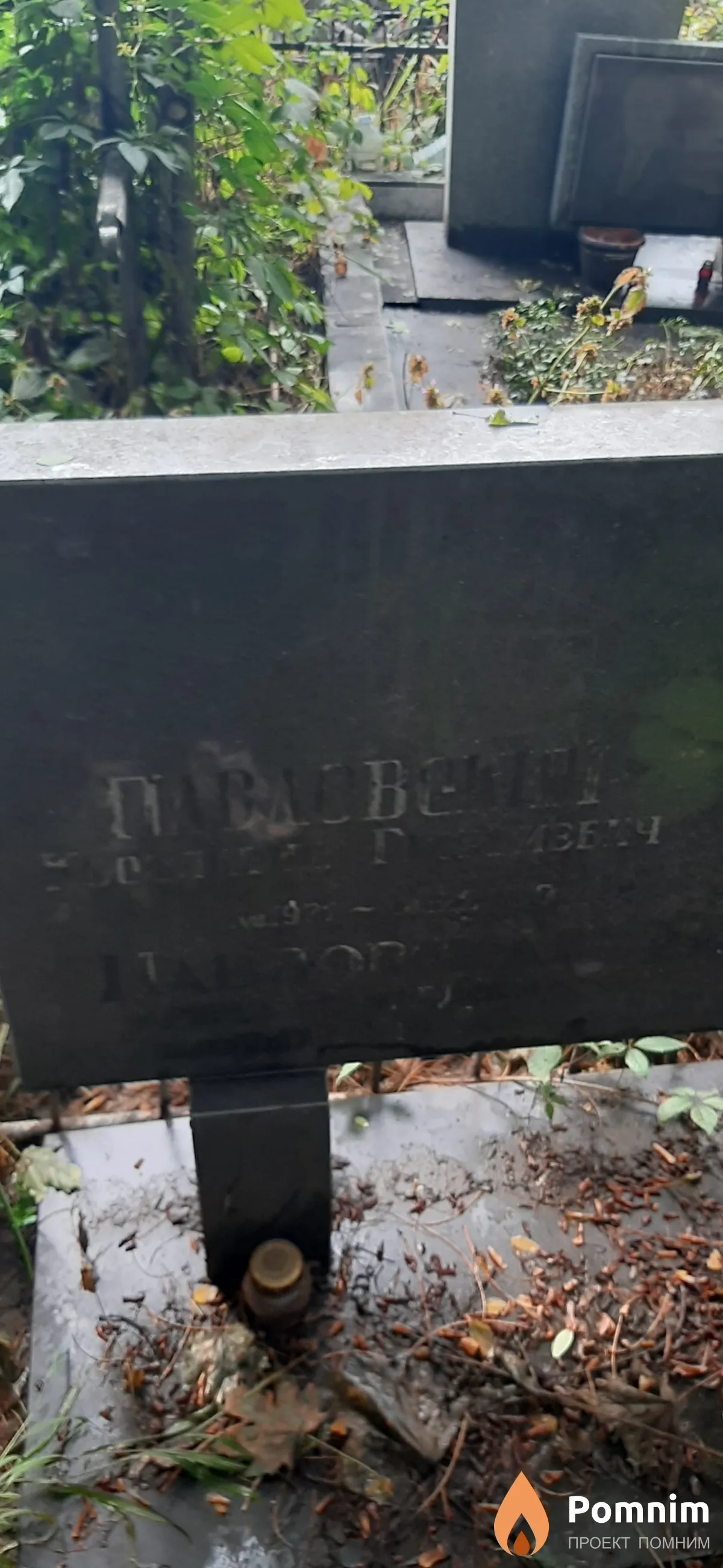 Павловская Ирина Эдуардовна