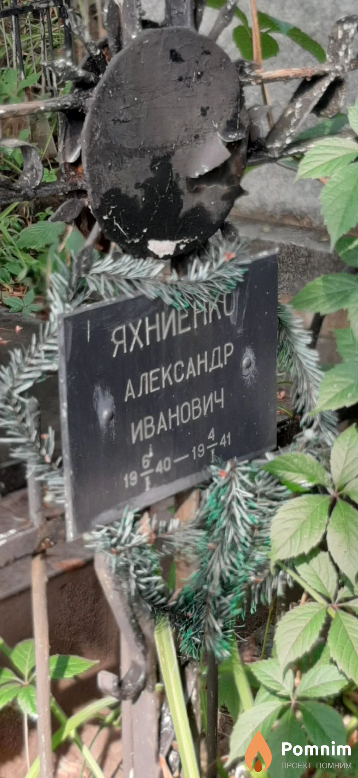 Яхниенко Александр Иванович