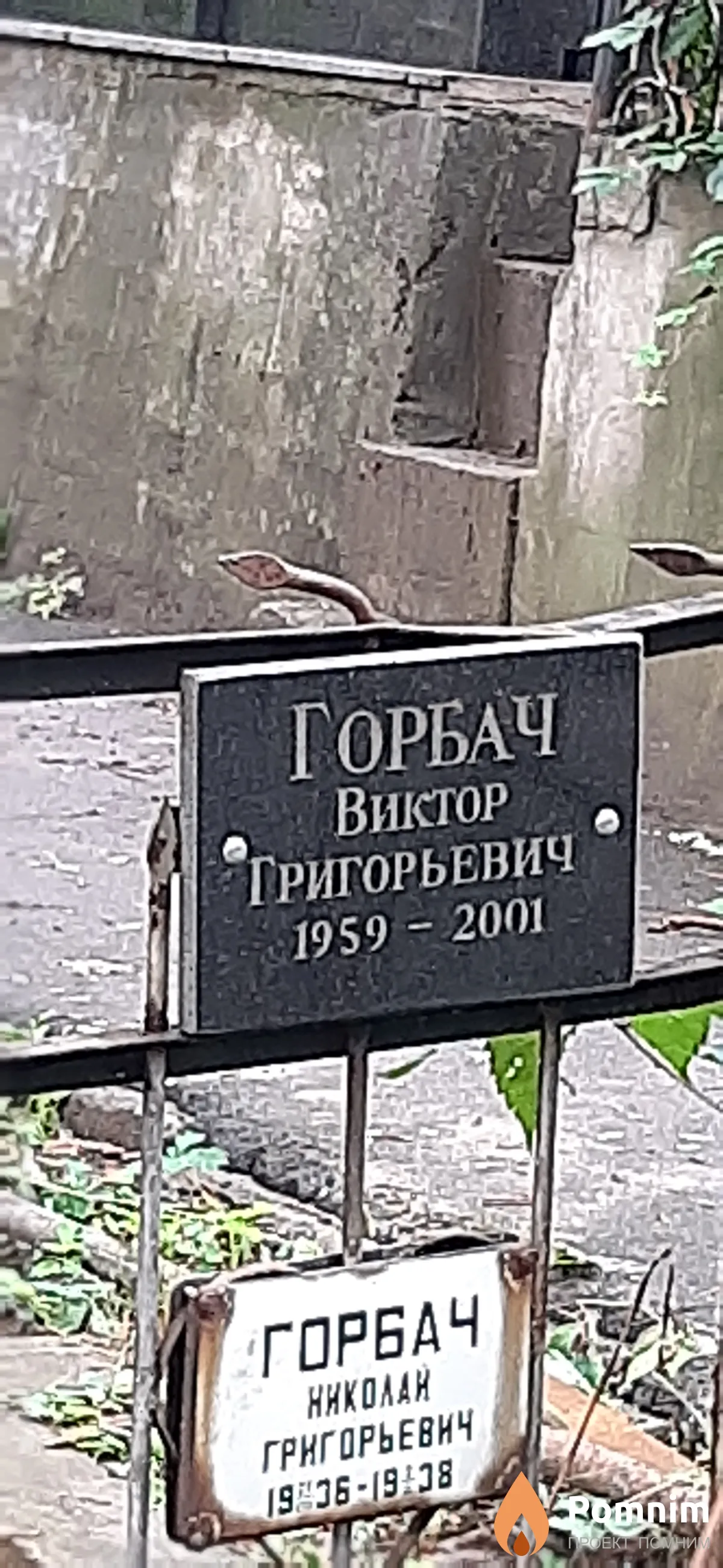 Горбач Виктор Григорьевич