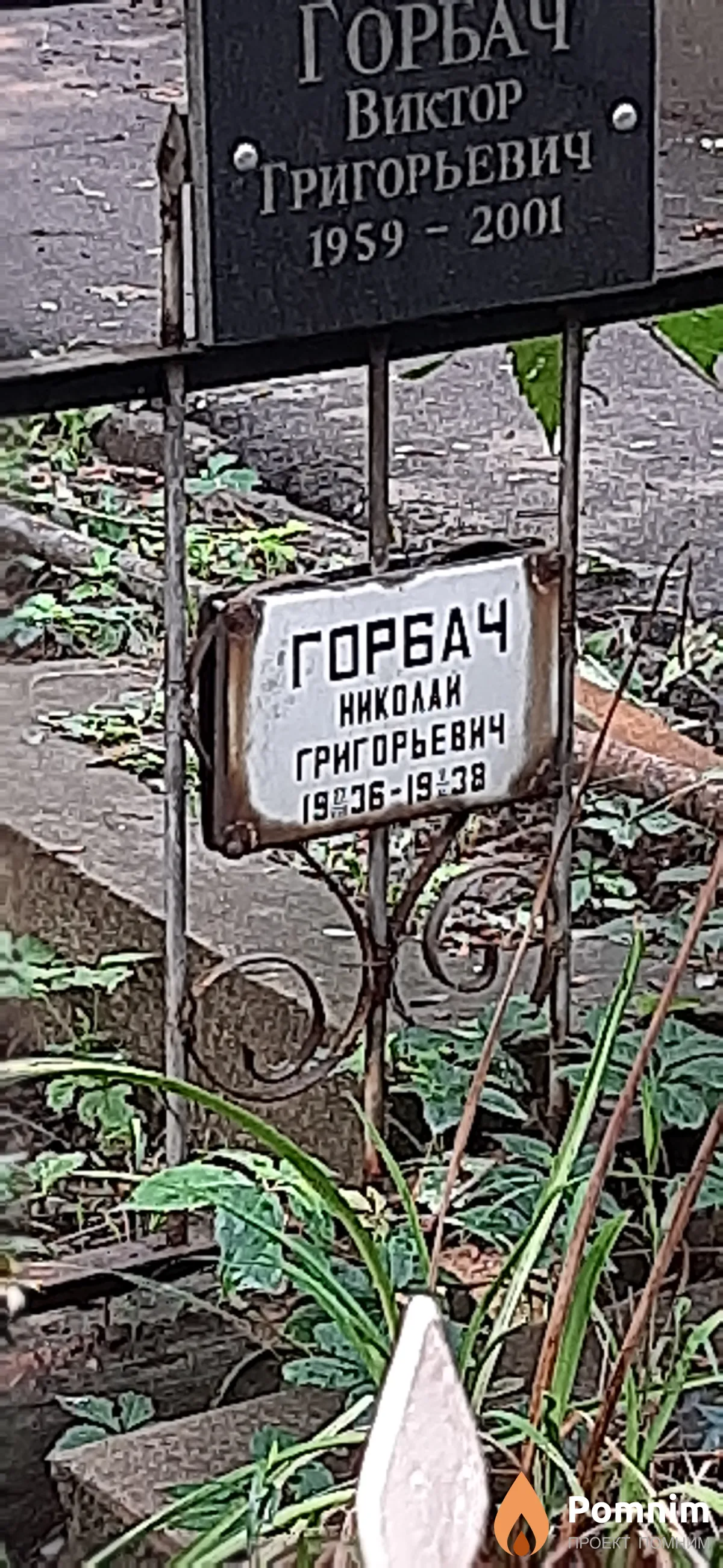 Горбач Николай Григорьевич
