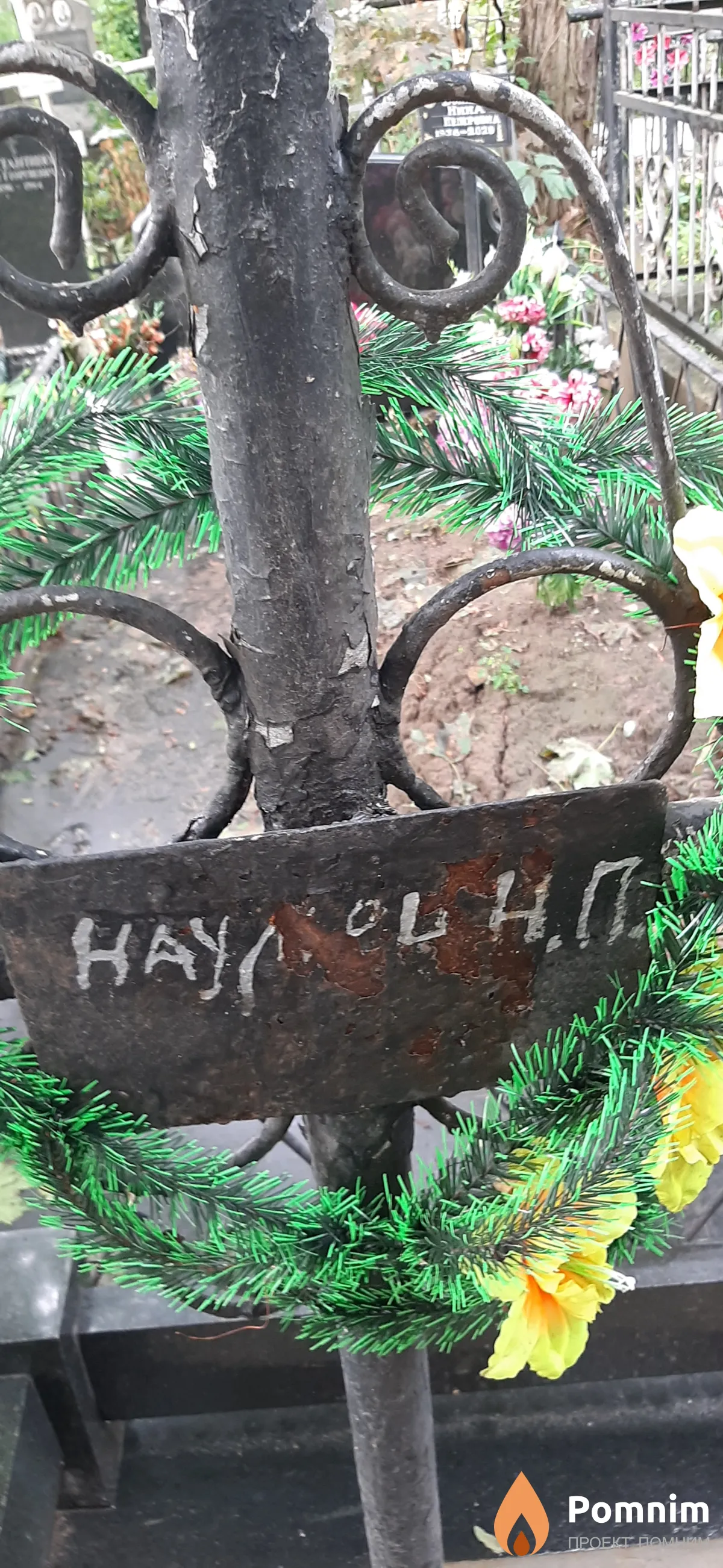 Наумец Н. П.