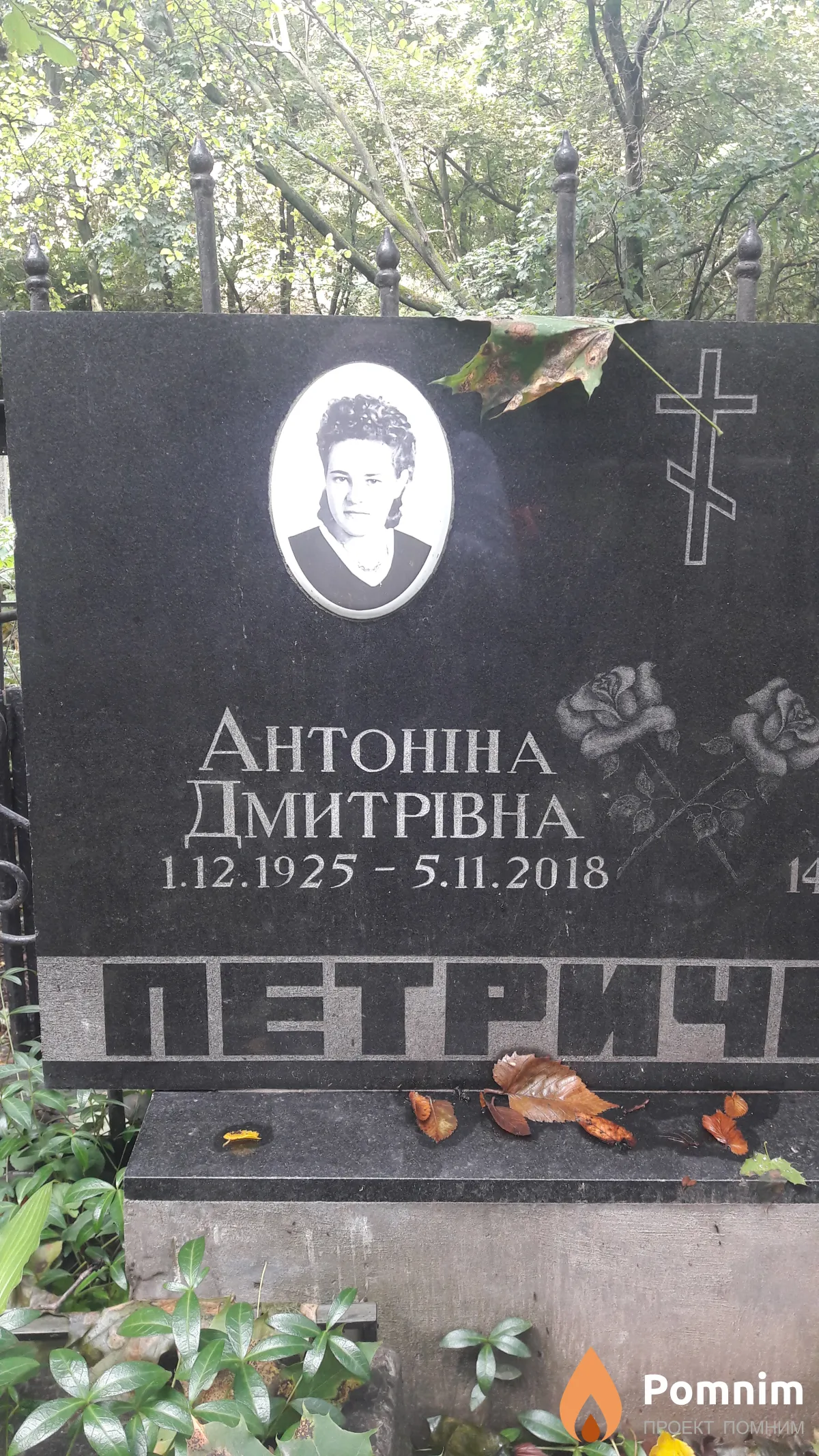 Петриченко Антонина Дмитриевна