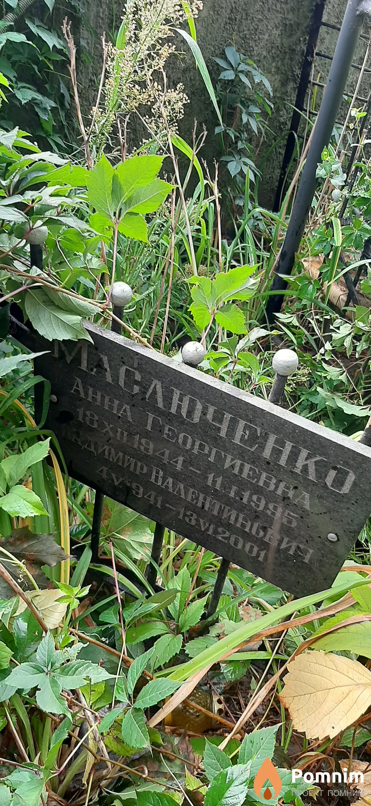 Маслюченко Анна Георгиевна