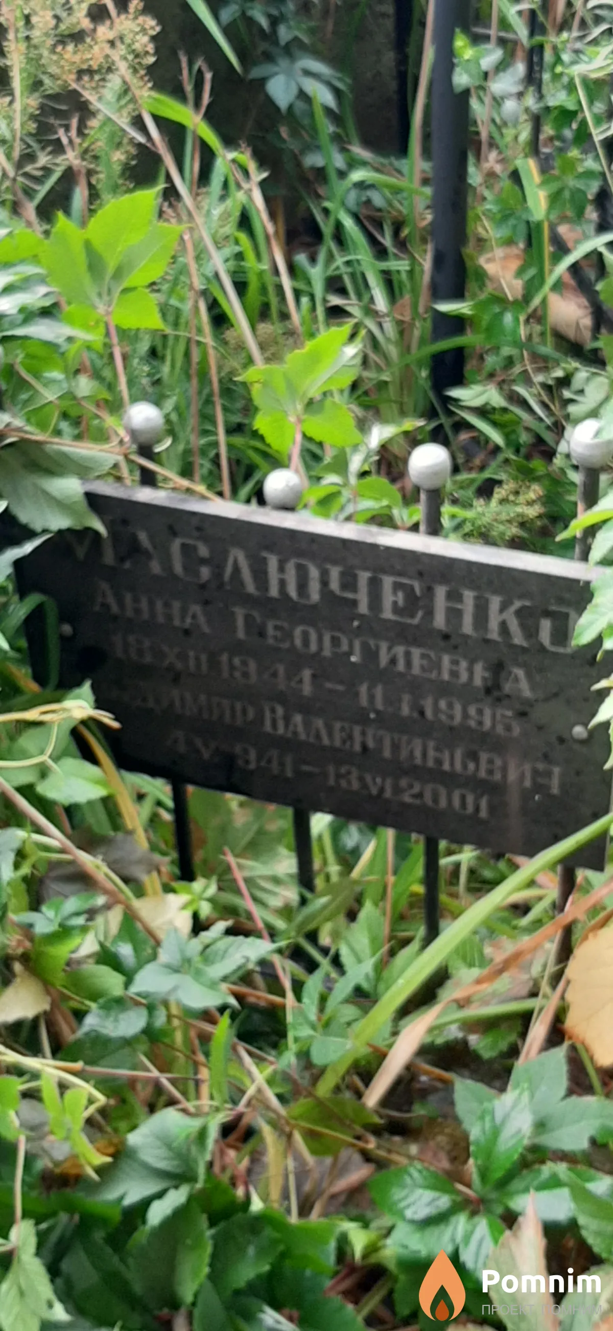 Маслюченко Владимир Валентинович