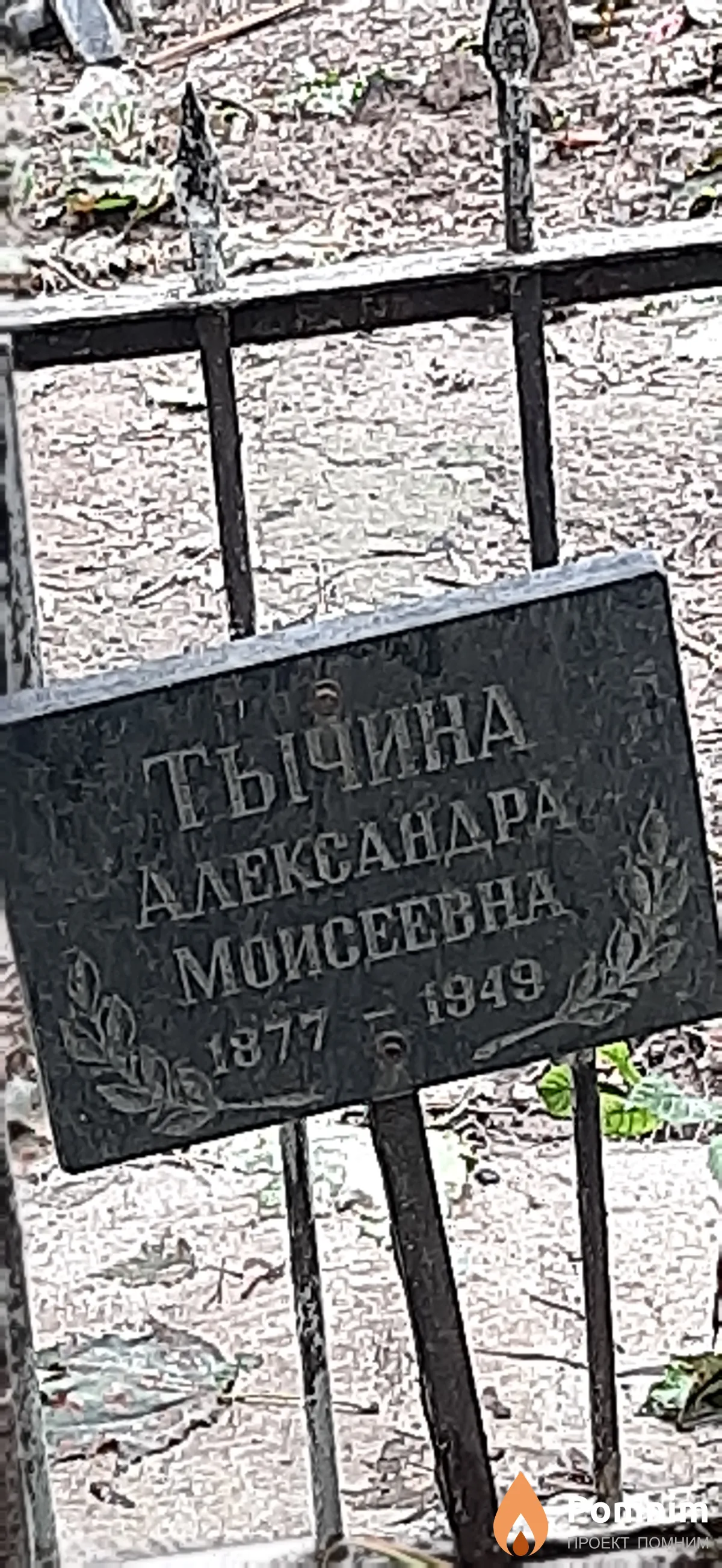 Тычина Александра Моисеевна