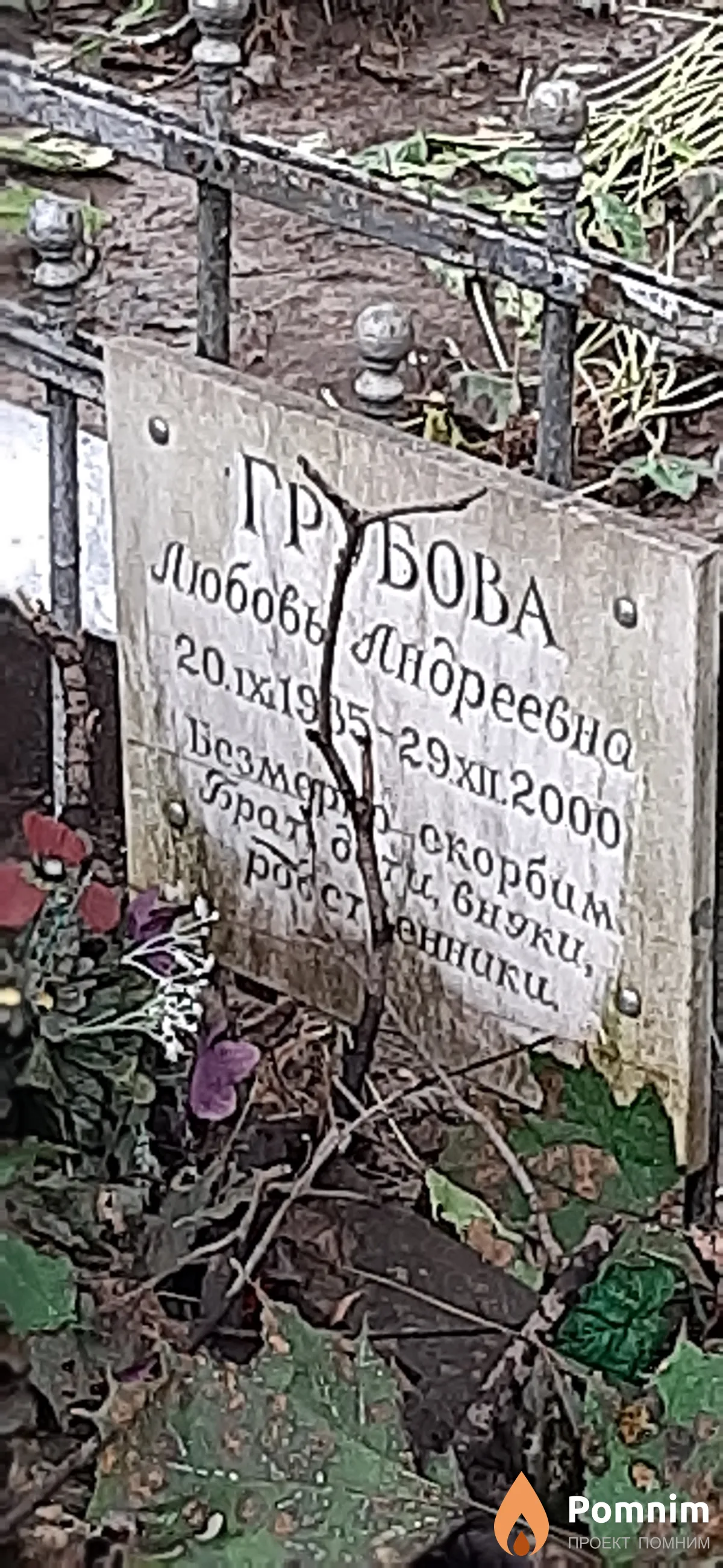 Грубова Любовь Андреевна