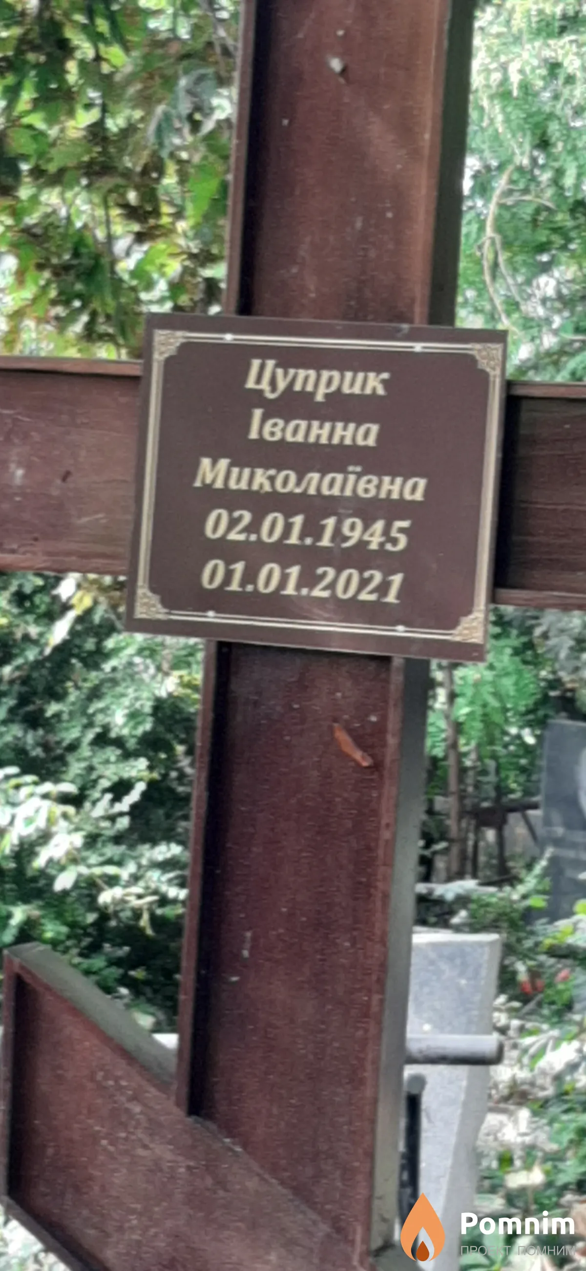 Цуприк Иванна Николаевна