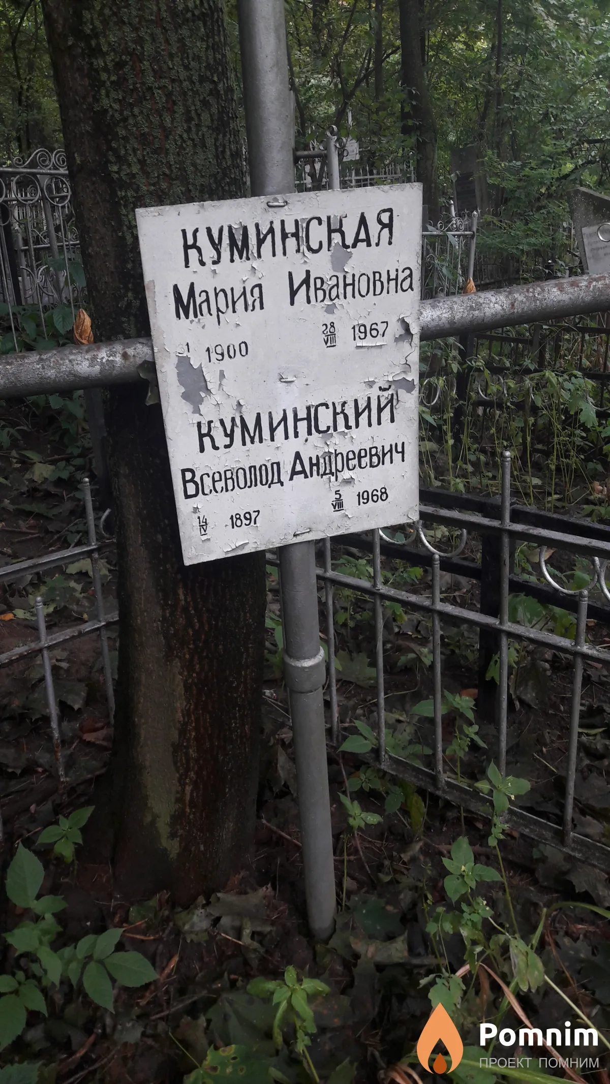 Куминский Всеволод Андреевич