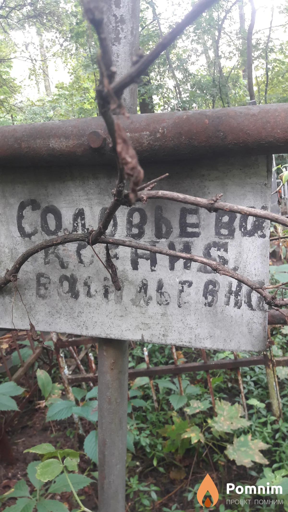 Соловьева Ксения Васильевна